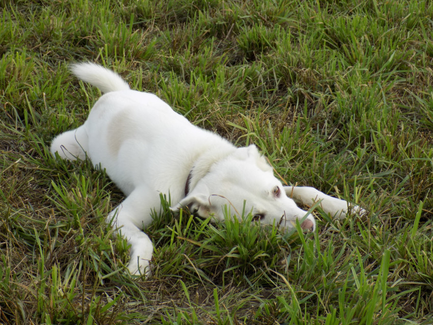 18316867520855smow0msdvtlfst4a0k2ojaf469yhfrzdmng4cm8lg8nsvdwoihd1t6hl5boku2sgq33y8wouqcofvxrmf0zytmipgnbj2khusj7